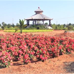 SunCity Aget - Hyderabad to Amaravathi