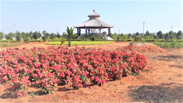 SunCity Aget - Hyderabad to Amaravathi