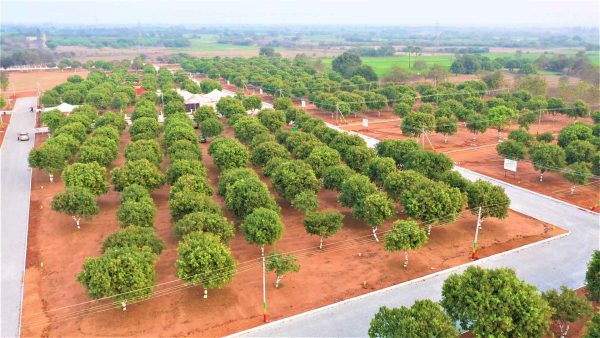 SunCity Capital-II - Tangutur - Image 7
