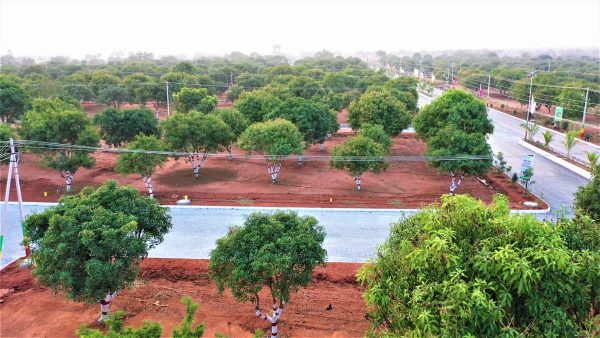 SunCity Capital-II - Tangutur - Image 19