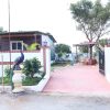 Suncity Opal