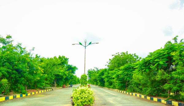 SunCity Capital - Tangutur - Image 6