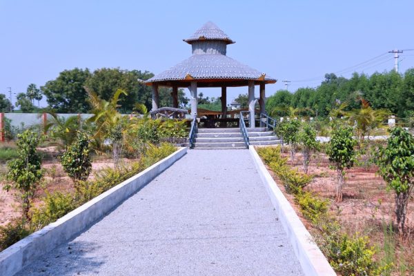 Add On- Wangapally - Image 6