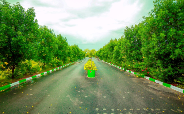 SunCity Sarovar - Siddipet - Image 7